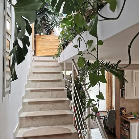 Harmony Haven - Spacious 4br House With Free Parking Cluj-Napoca