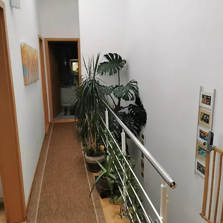 Harmony Haven - Spacious 4br House With Free Parking *