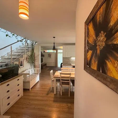 Harmony Haven - Spacious 4br House With Free Parking Клуж-Напока
