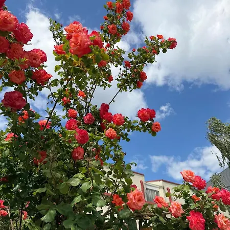 Holiday home Harmony Haven - Spacious 4br House With Free Parking Cluj-Napoca