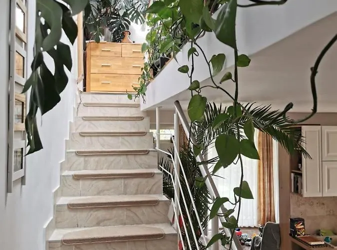 Harmony Haven - Spacious 4br House With Free Parking Κλουζ-Ναπόκα