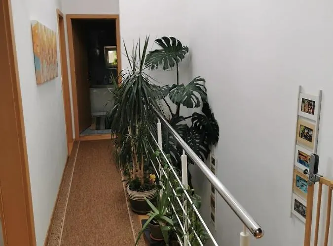 Harmony Haven - Spacious 4br House With Free Parking *